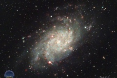 COMP_M33-3-2