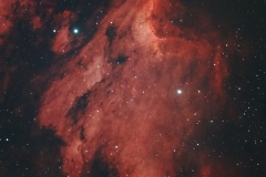 DUAL_PELICAN_CROP_BML_SIG-2