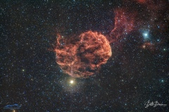 Jelly-2