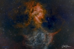 LION-2