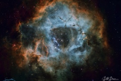 SKULL_V-SNR_CROP
